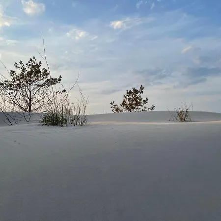 Golden Rogowo (Gryfice)